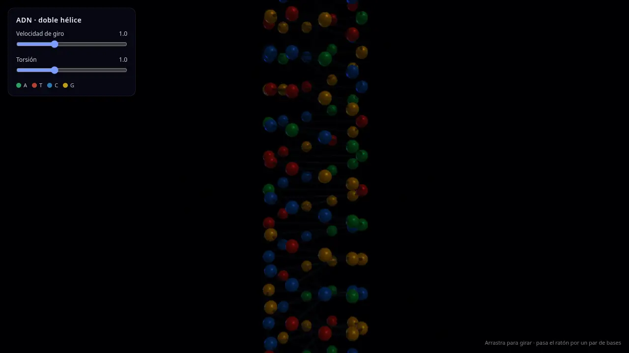 DNA double helix — Beam 1.0 (free)