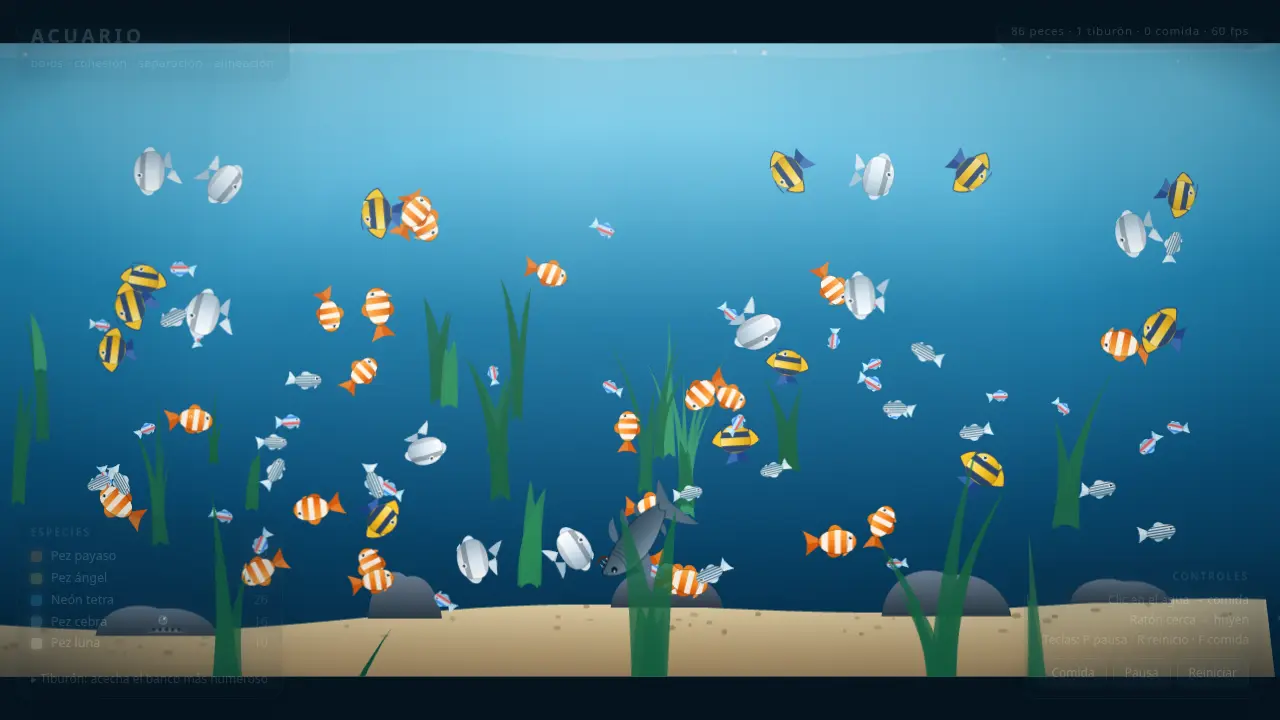 Aquarium with schools of fish — MiniMax M3.1 Flash (free)
