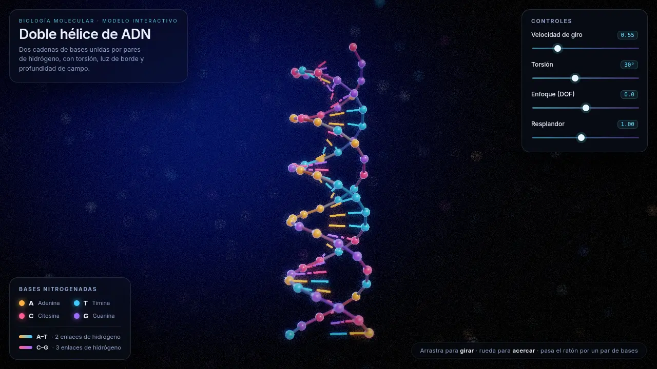 DNA double helix — MiniMax M3.1 Flash (free)
